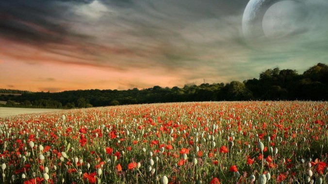 未来几年，市场对 AI 人才的需求会集中在哪几个方向？